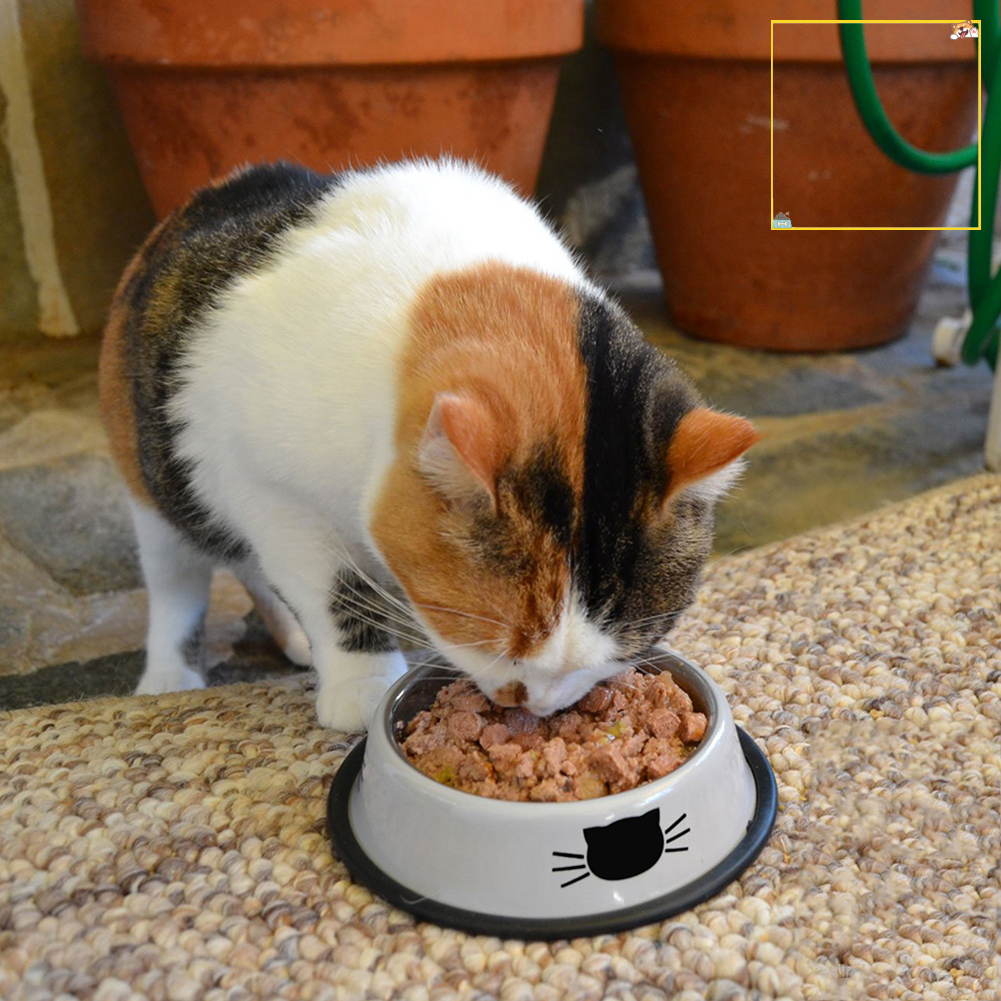 Tô Đựng Thức Ăn Cho Thú Cưng Chống Trượt Bằng Thép Không Gỉ