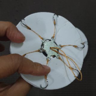 Lưỡi chùm câu lăng xê