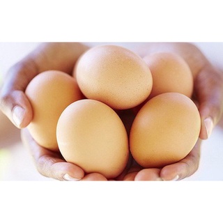 Trứng gà tươi quận 10