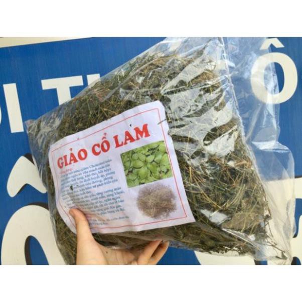 Giảo Cổ Lam 5 lá Hoà Bình