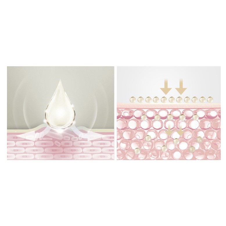 Hộp 20 ống Tinh Chất Tổ Yến - SNP Premium Bird's Nest Capsule Ampoule Dưỡng ẩm tái tạo làm sáng mịn da