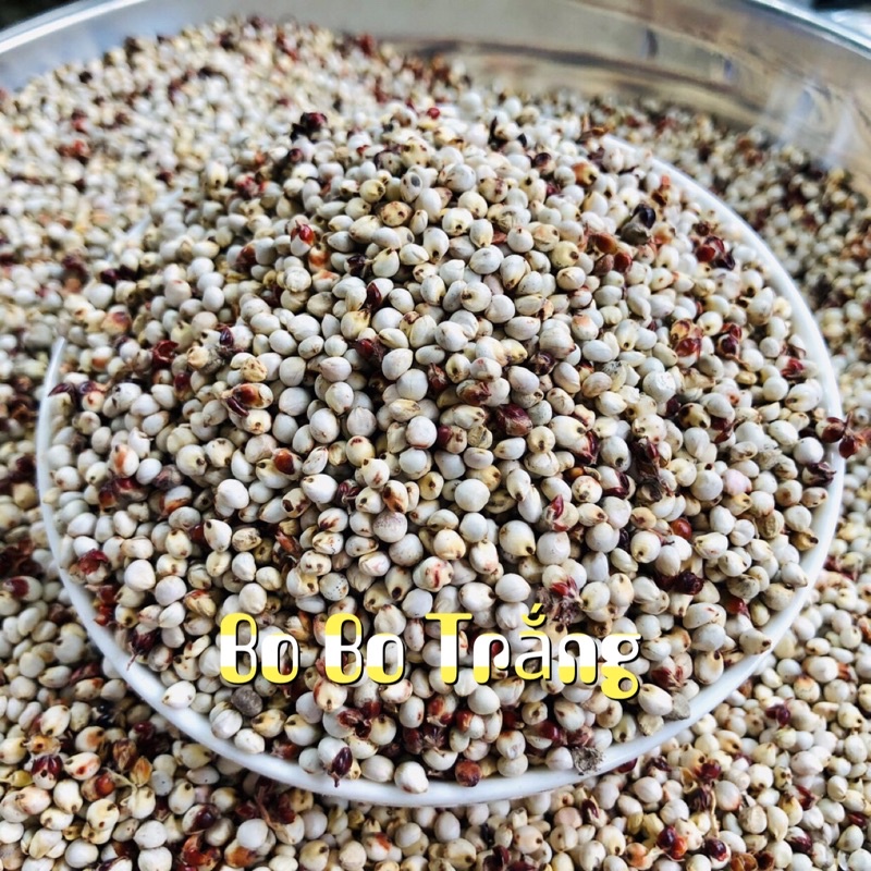 HẠT BOBO TRẮNG-LÀM THỨC ĂN CHO GÀ,BỒ CÂU,CU GÁY,HAMTER…