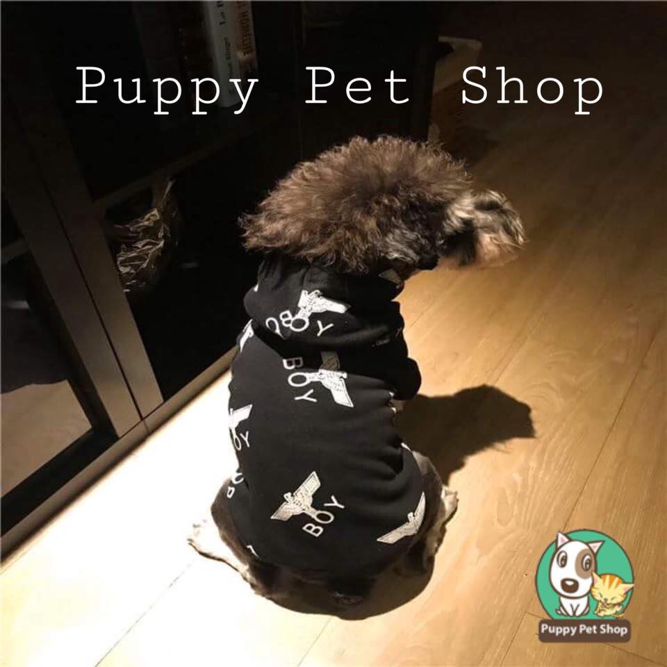 Áo hoodie Boy Đại Bàng cho thú cưng, chó mèo- Hàng loại 1