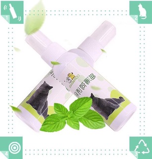 Chai xịt catnip cho mèo 50ml