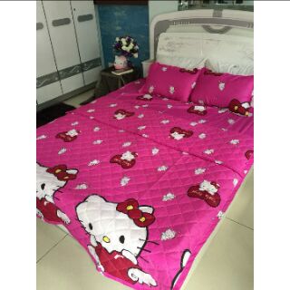 Chăn Drap Gói 5 Món 1m6 x 2m x 10cm