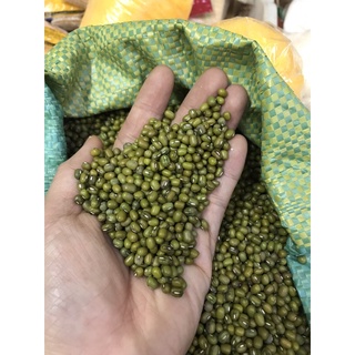 Đậu xanh hột
