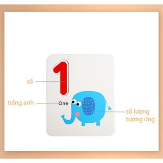 Bộ Thẻ Ghép Số Và Phép Tính (Có Que Tính)