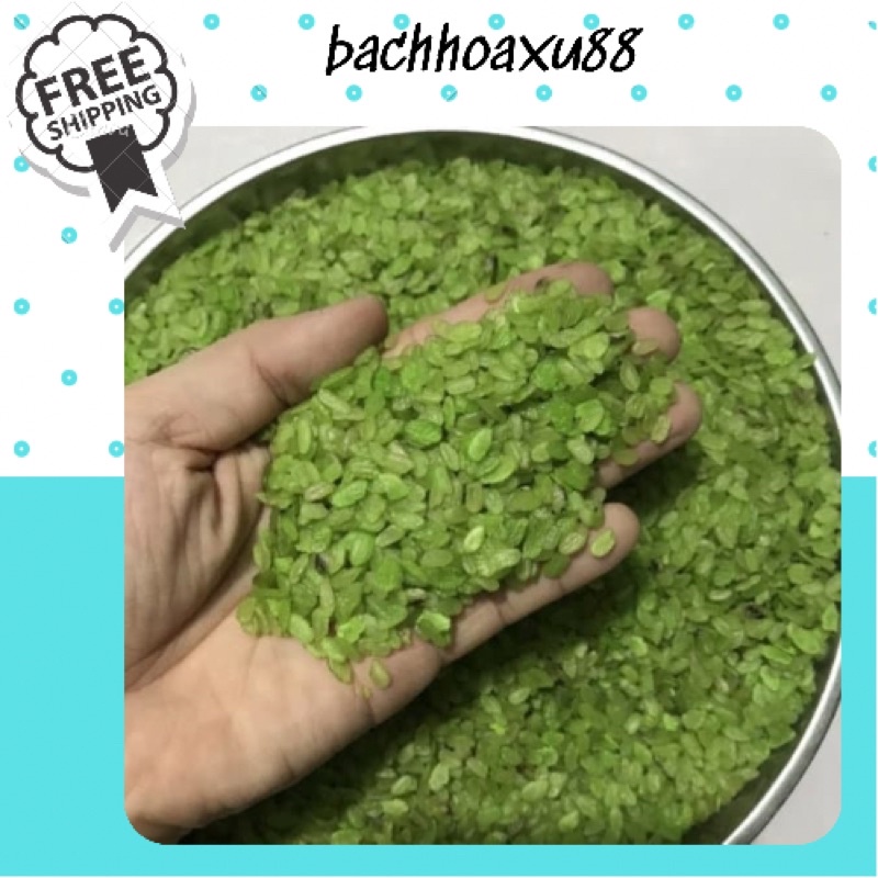 Cốm xanh  Hà Nội dùng đồ xôi, nấu chè, làm chả , cốm sấy khô an toàn bachhoaxu88