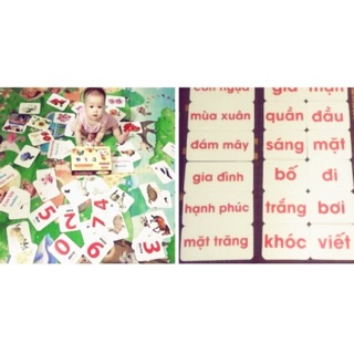 Combo bộ thẻ tgxq 14 chủ đề + bộ từ vựng