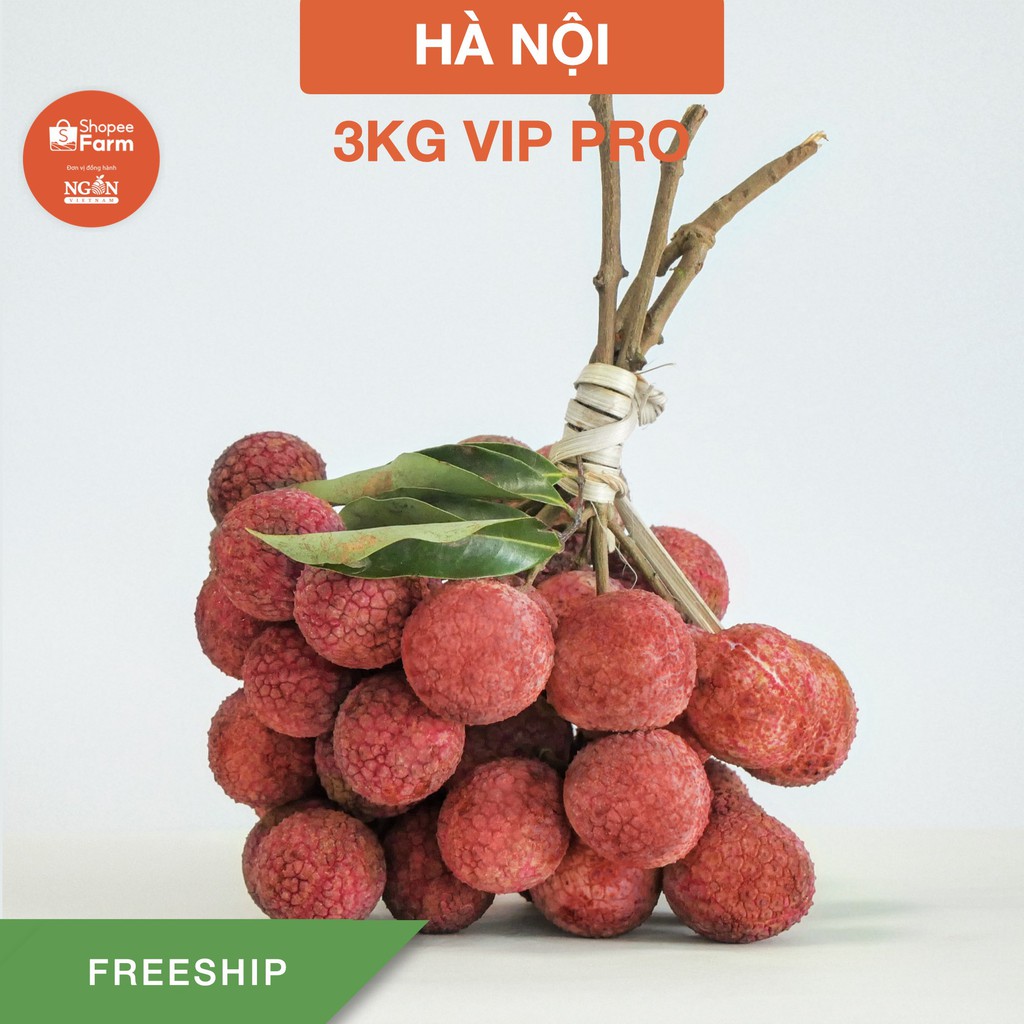 [HN] 3kg VIP PRO Vải thiều Lục Ngạn tiến vua thượng hạng ngọt sắc thơm mọng