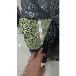 Cỏ Tymothy nhập khẩu Thái Lan