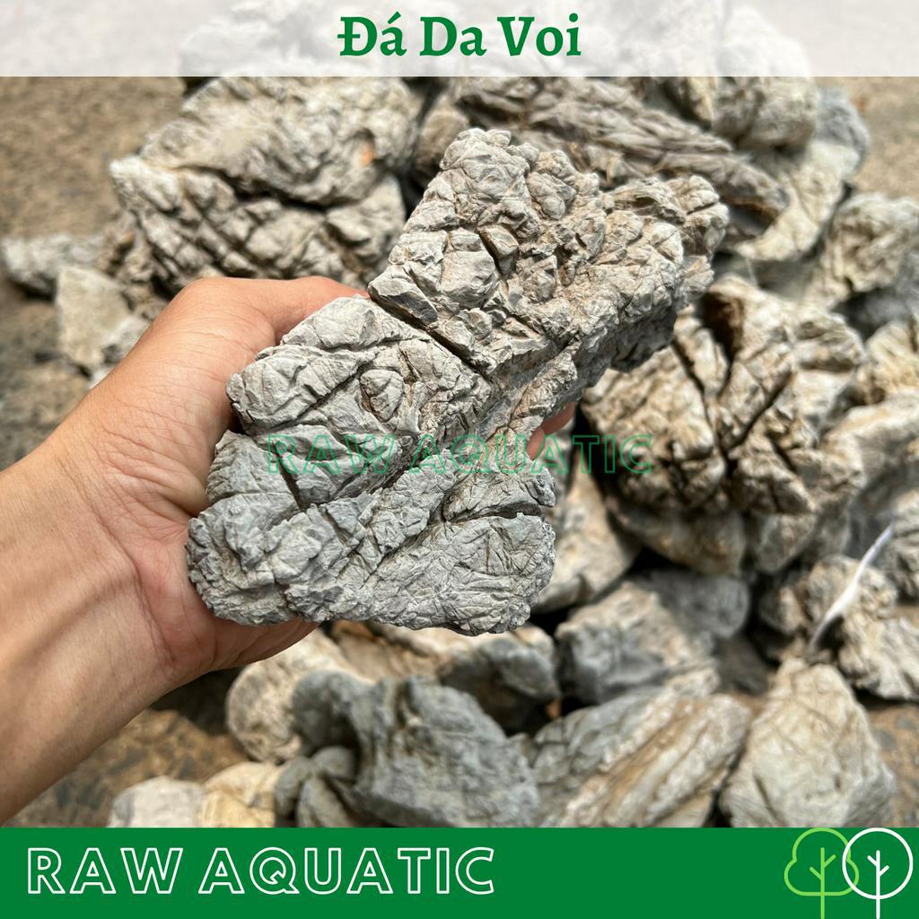Đá Da Voi Trang Trí, Setup Bể Cá Cảnh, Bể Thủy Sinh