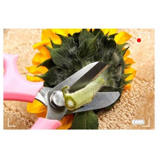 spk6789 kéo cắt cành nhập khẩu( sỉ)