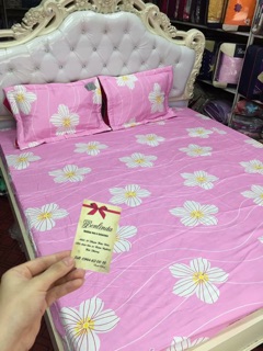 Ga gối cotton lụa ( cotton 100%)