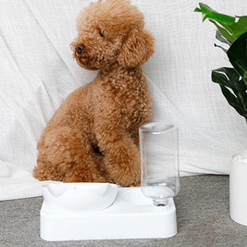 Norman Bình Đựng Nước Uống Hai Lớp Có Thể Tháo Rời Tiện Lợi Dành Cho Thú Cưng