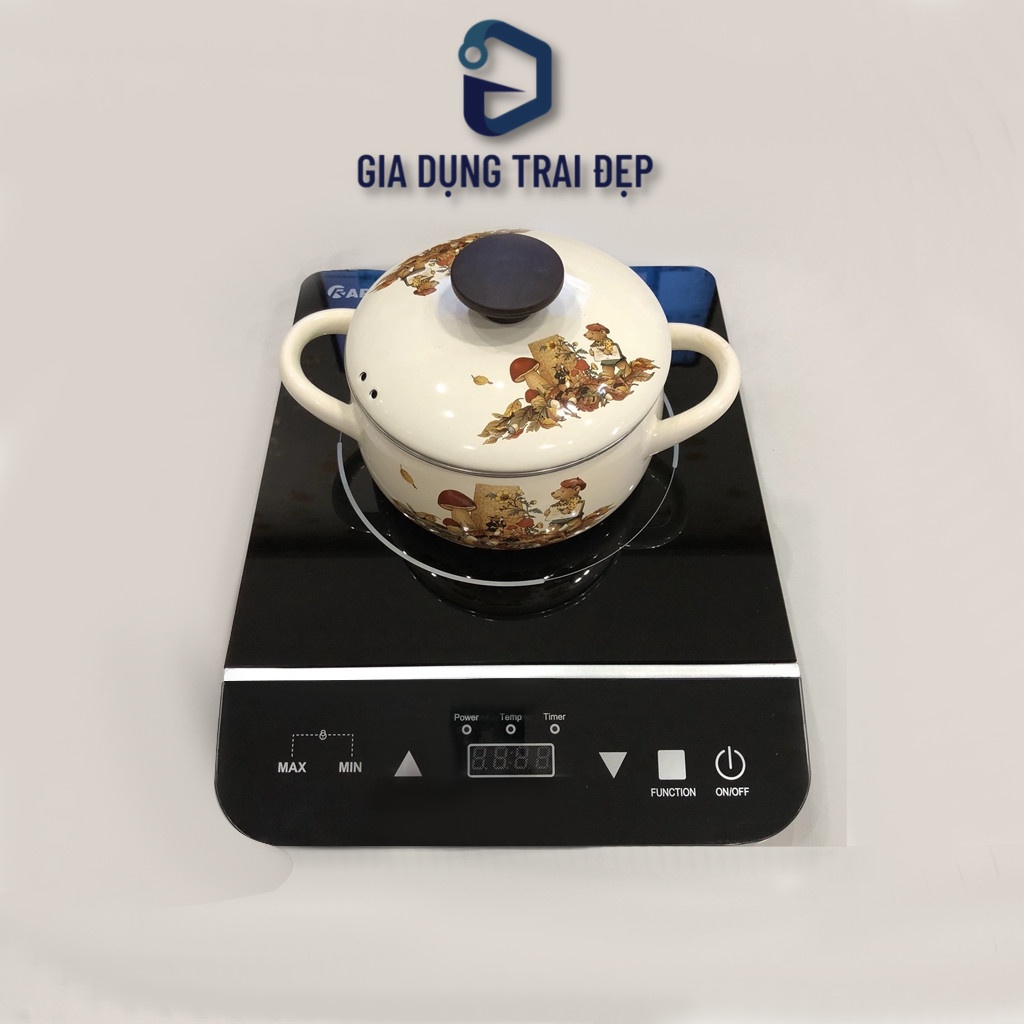 Bếp điện từ Rapido RI2000ES