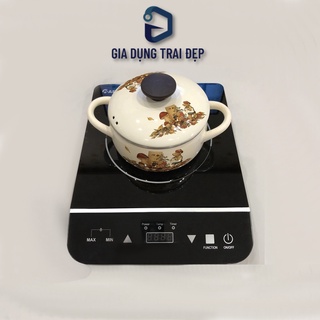 Bếp điện từ Rapido RI2000ES
