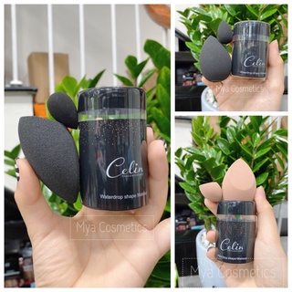 Bông mút đôi CELIN siêu mềm, siêu đàn hồi - Đủ Size
