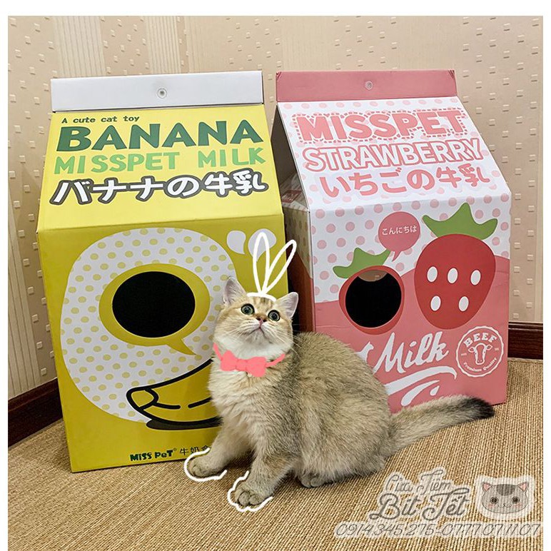 𝑭𝑹𝑬𝑬𝑺𝑯𝑰𝑷 Đồ chơi cho mèo cào móng. Cat Box CatTree. [Mua 01 Tặng 02]
