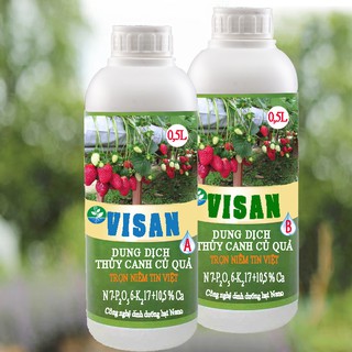 Dung dịch thủy canh củ quả pha