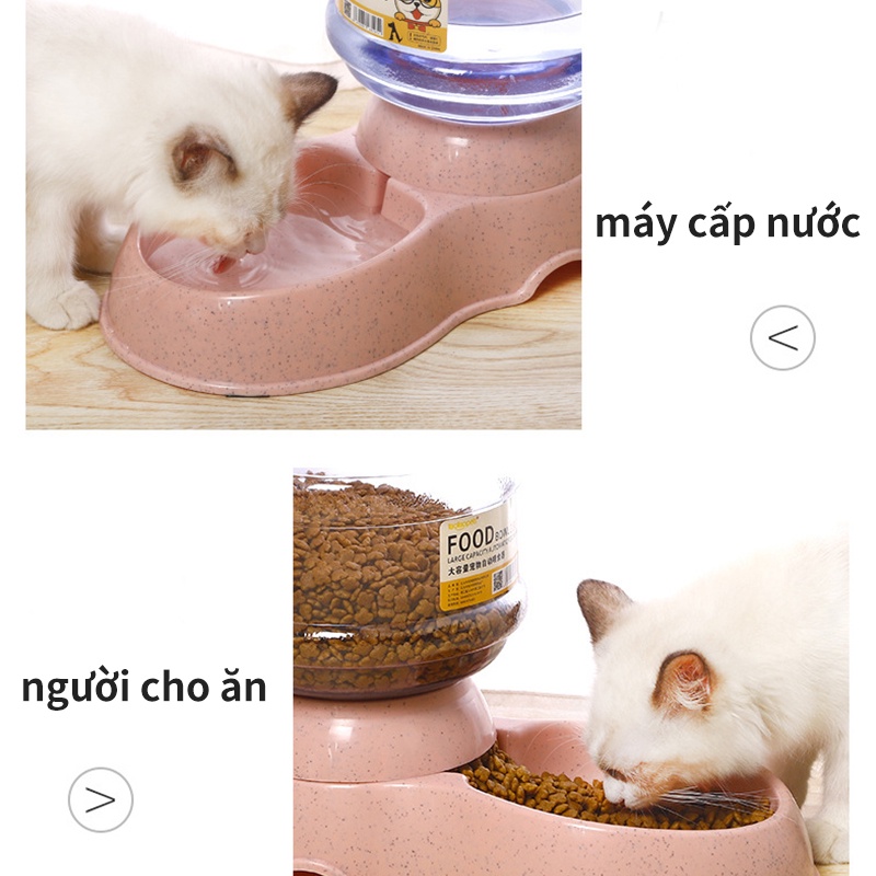 Domicoo Máy lọc nước cho thú cưng dung tích lớn 3.8L cho vật nuôi ăn thức ăn tự động cho chó bú bát cho thú cưng