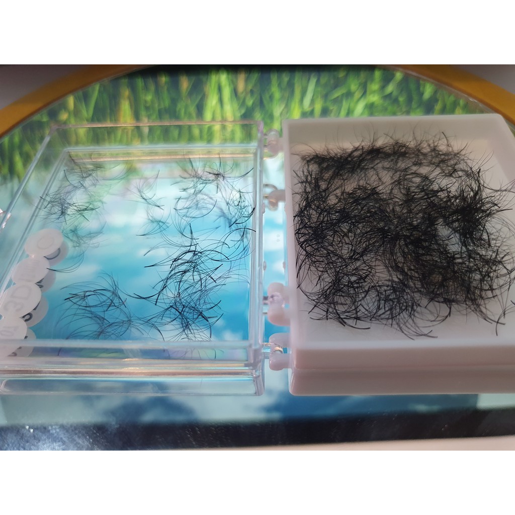 Lông Mi Sole Fan Tay Sẵn - Mi fan Camelia- 3D 4D 5D cong C D LMFT Hani chân keo nhỏ