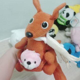 Gấu của chi bin meo