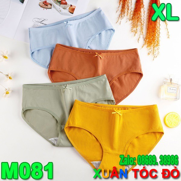 SỈ ZALO RẺ HƠN NHIỀU_ Quần Lót Cotton Trơn 7 Màu Mới Cực Xịn M081 SIZE TO XL