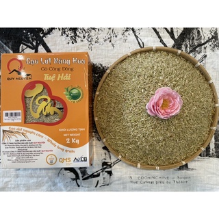 Gạo lứt Xanh Nàng Hoa Tuệ Hải – Hộp 2kg