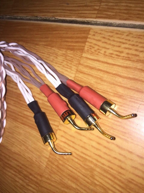 Dây loa đã DIY 5m 2 vế kết hợp mỏ chim cứng LITON