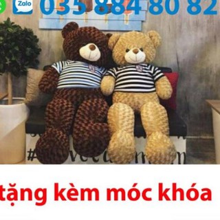 Gấu bông Teddy khổ 1m2 siêu đẹp