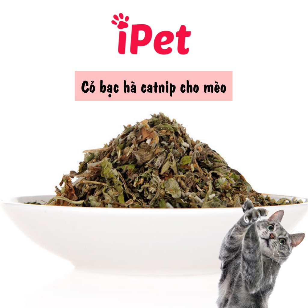 Cỏ Bạc Hà Catnip Cho Mèo Dạng Hộp 250ml - iPet Shop