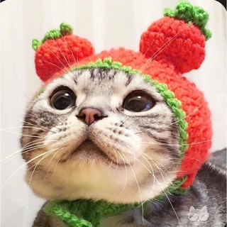 Nón len handmade cho chó con và mèo 🐈‍⬛ 🐈