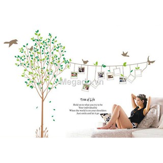 Decal khung ảnh A008