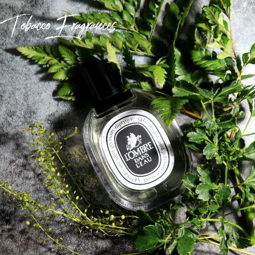 Mẫu thử nước hoa Diptyque L'Ombre Dans L'Eau