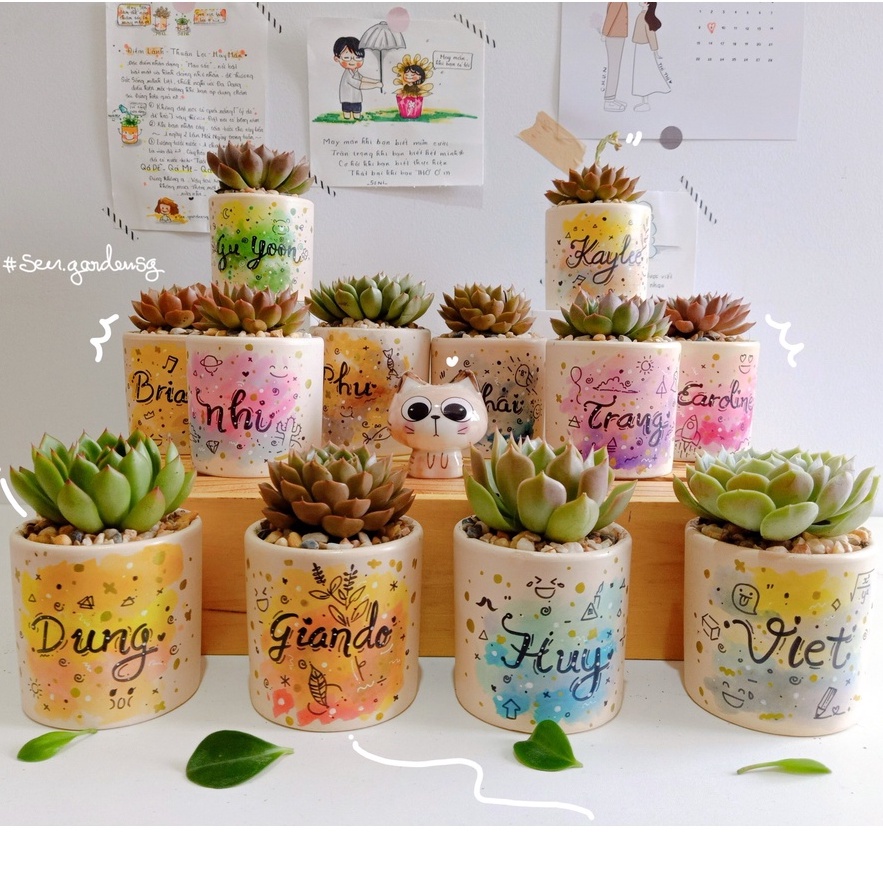 Chậu Đất Nung trắng/nâu trồng cây 7-9-11cm có VẼ HÌNH-CHỮ THEO YÊU CẦU