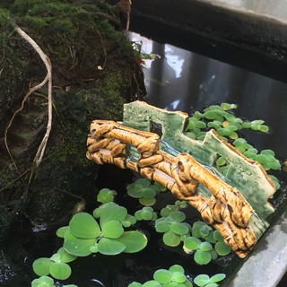 Cây Cầu Đá Nhỏ Trang Trí Hồ Cá, Bể Cá-Hòn Non Bộ