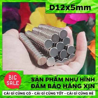 COMBO 10 Viên Nam Châm Điện Lực Hút Siêu Mạnh D12*5mm