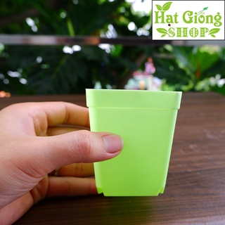 Chậu nhựa mini vuông