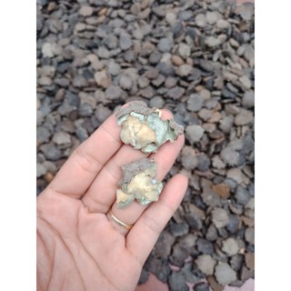 1kg hạt gấc rang thơm,giã nhỏ