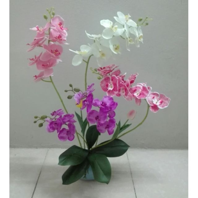 Hoa giả - Lan cánh bướm nhân tạo