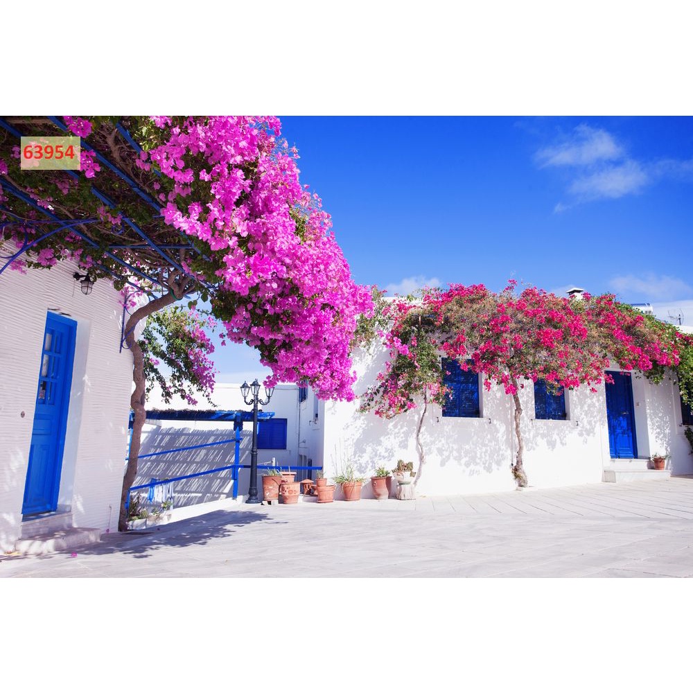 Tranh phong cảnh thiết kế đẹp đa dạng mẫu mã với nhiều phong cách khác nhau