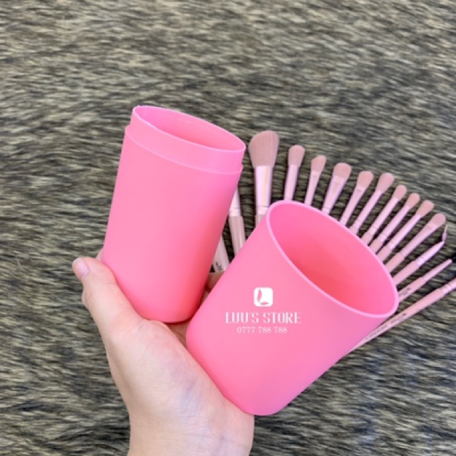 Bộ Cọ Cá Nhân RanMor Ống Hồng 16 cây