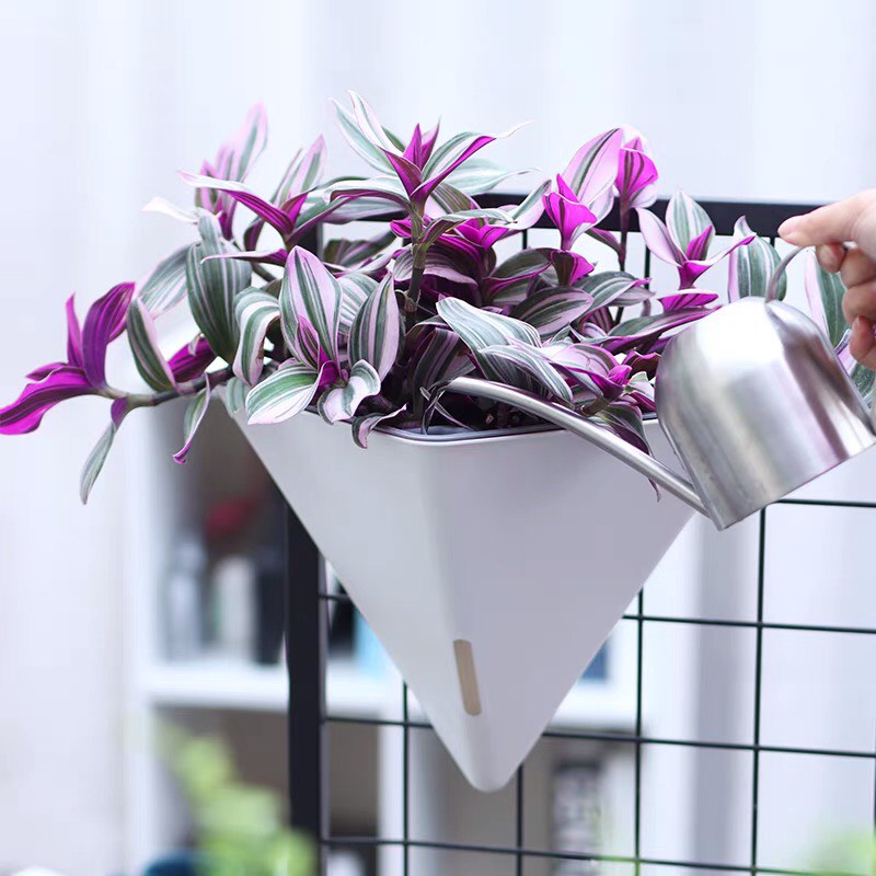 Chậu cây treo tường hình kim tự tháp Oliz-K104. Chậu trồng cây thông minh tự tưới nước