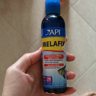 KHÁNG KHUẨN CAO CÁP CHO CÁ CẢNH API MELAFIX