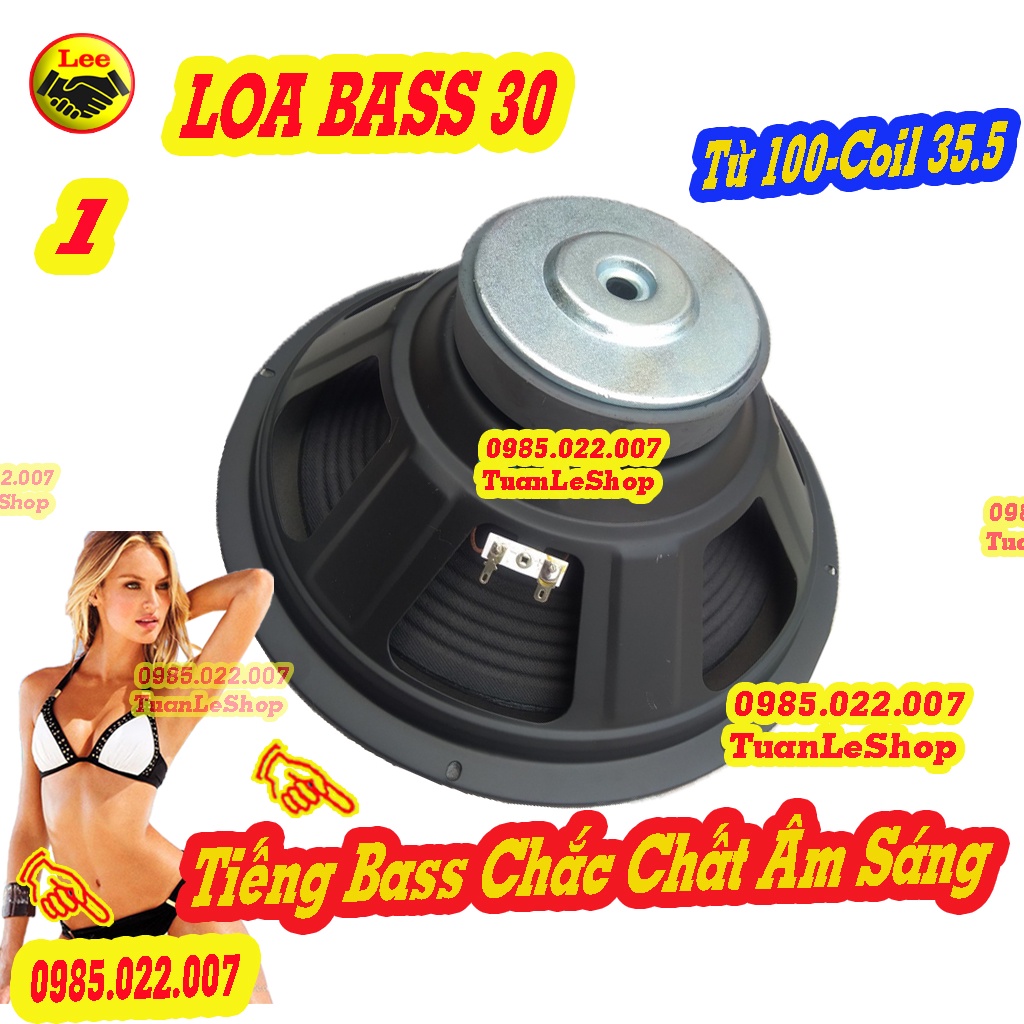 1 CỦ LOA BASS 30 TƯ 100MM CHO LOA KÉO HOẶC AMPLI NHỎ - GIÁ 1 CỦ LOA 3 TẤC - 1205