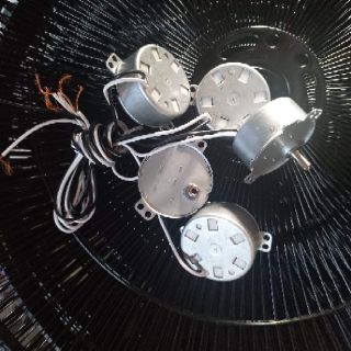 Motor hào quang gai trong