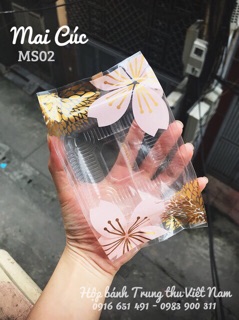 [Set 20] Túi nilon đựng bánh Trung Thu/mứt 100-200g