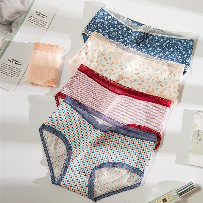 Quần Lót Nữ Cotton Nâng Mông Trẻ Trung Gợi Cảm Phối Hoạ Tiêt 0742