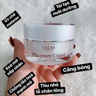 Kem nhau thai cừu Celes Hàn Quốc